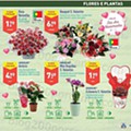 Antevisão Folheto ALDI Promoções de 9 a 15  fevereiro 17c.jpg
